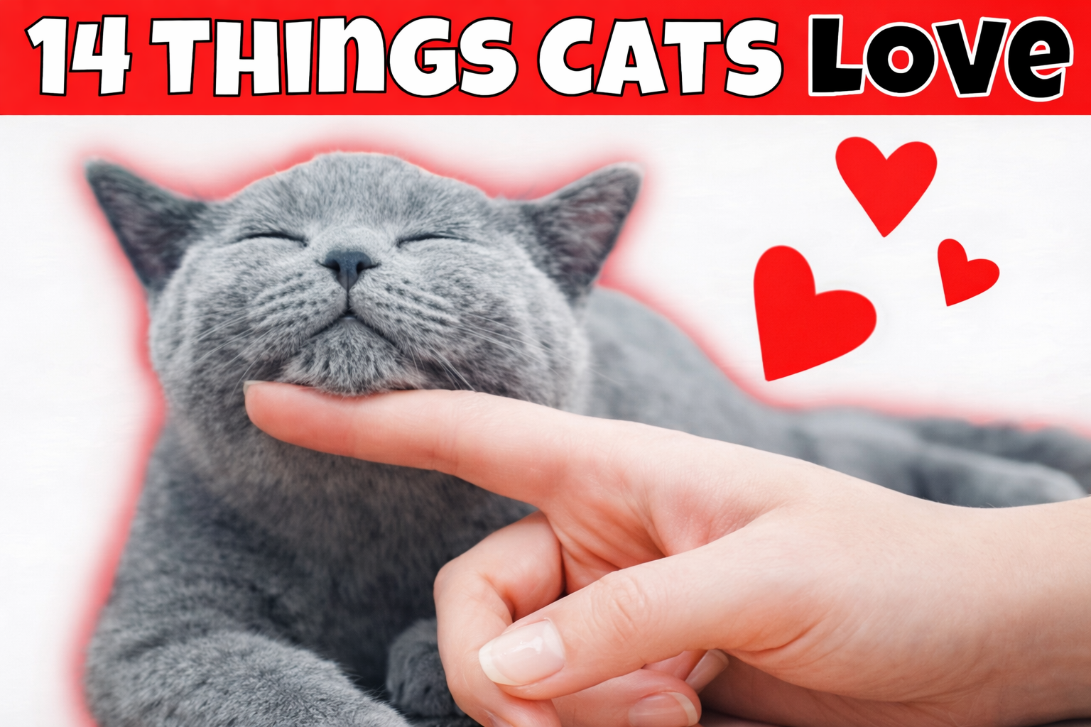 The Purring Journal example